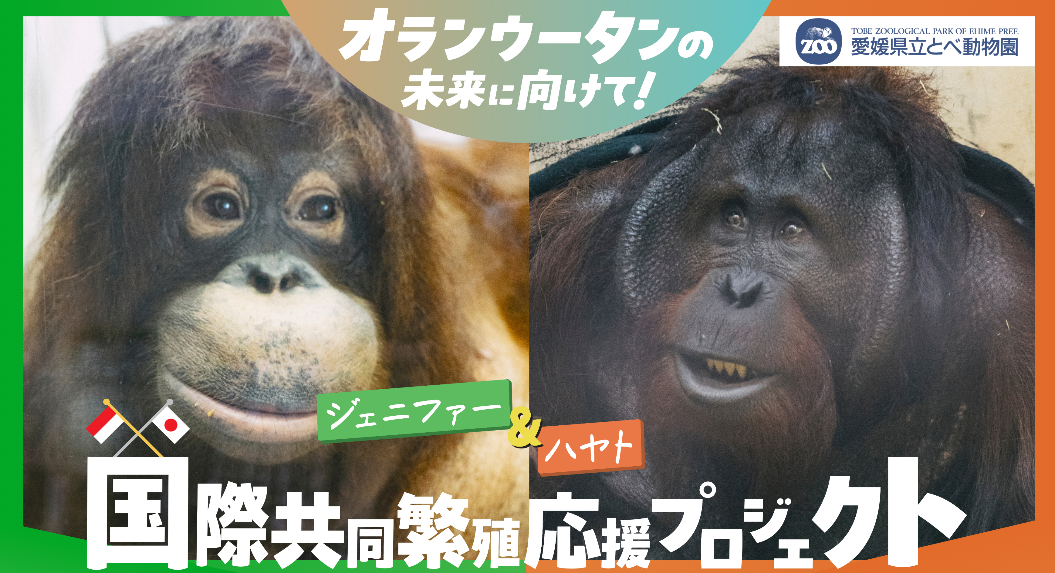 とべ動物園クラウドファンディングの画像