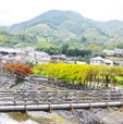 image4:Driving in mountains for Ishizuchi: a spiritual area where visitors can be healed and energized