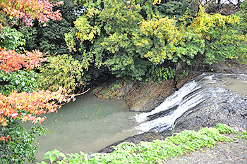 砥部衝上断層公園の画像