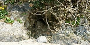 image4:Aijima Island view points