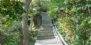 image5:Aijima Island view points