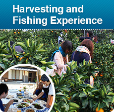 Harvesting and fishing experiance
