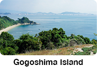 Gogoshima Island