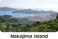 Nakajima Island