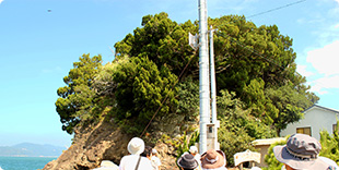 Photo of Juniper habitat