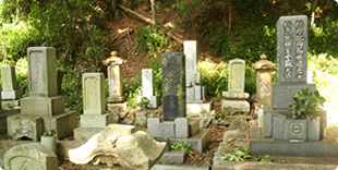 二神家の墓の写真