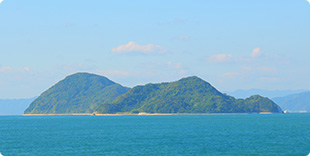 二神島全景の写真