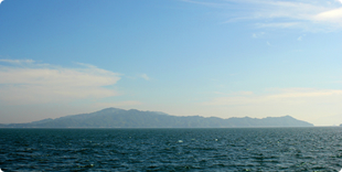 海岸線から望む中島の写真