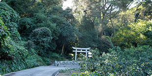 Photo of Iwagami Shrine