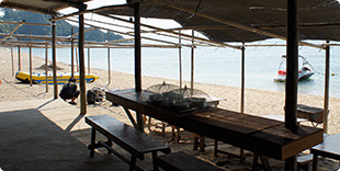 Photo of Yamada Shoten Beach House