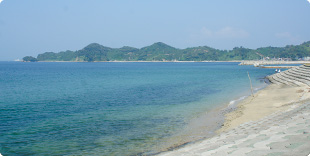 鷲ヶ巣海水浴場の写真