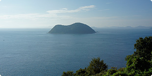 御手洗の山道から見える釣島の写真