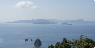 展望台から睦月島・野忽那島・中島の写真