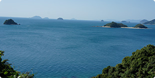 image4:Muzukijima view points