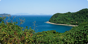 スカイライン 海と山の風景の写真