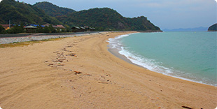 Photo of Himegahama Beach