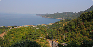 image4:Nakajima view points