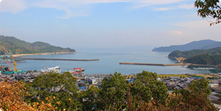 image5:Nakajima view points