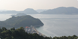 image8:Nakajima view points