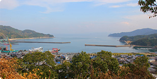 2黒岩城跡から望む大浦湾の写真