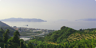 泰ノ山中腹から望む島の西側の写真