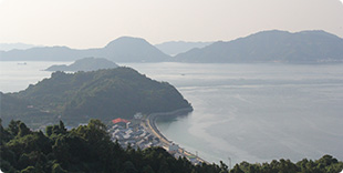 熊田地区の高台からの写真