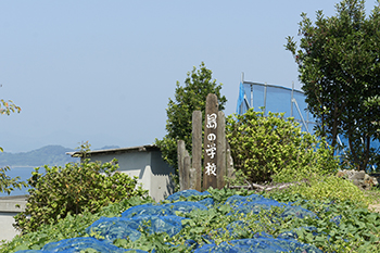Recruiting planters and pickers (Gogoshima Island)