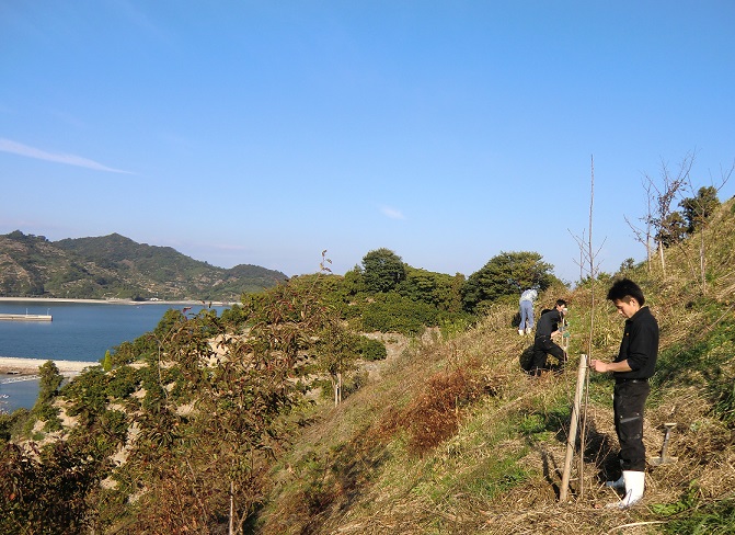 中島で桜の草刈り出逢い隊