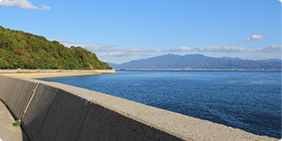 農道から四国本島の写真