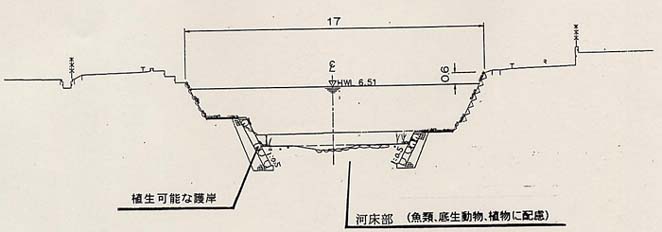 左岸拡幅区間標準断面図の画像1