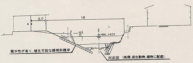 左岸拡幅区間標準断面図の画像2