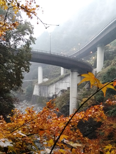 鹿森ダム下流(20181128_ゲート室からの紅葉と青龍橋)