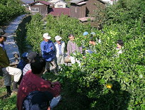 せん定講習会風景