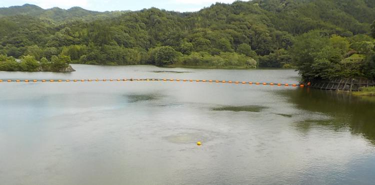 うてな湖全景の画像