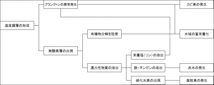 水質悪化のメカニズム