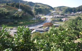 菊間町樹園地を縦断する幹線道路