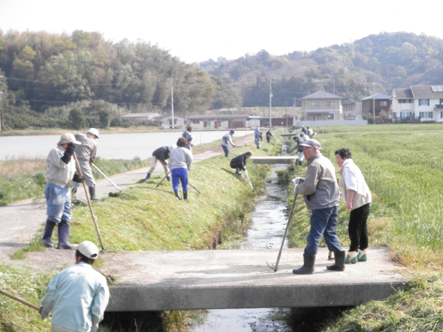 水路の泥上げの画像