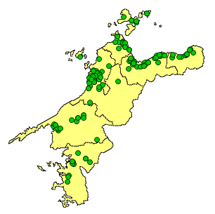 集団発生2619