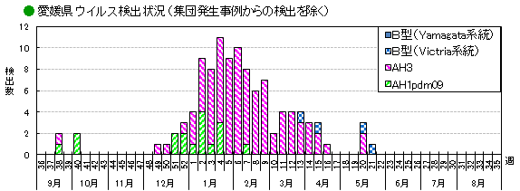 ウイルス検出状況