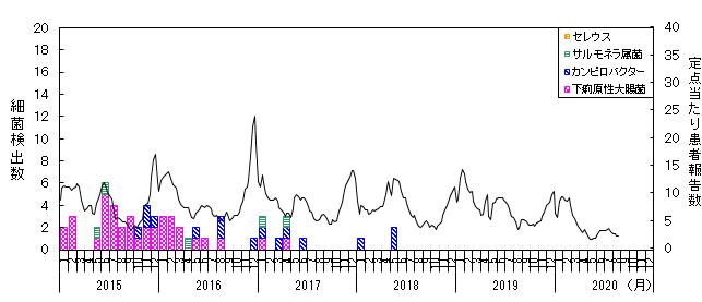 最近月別検出数の推移