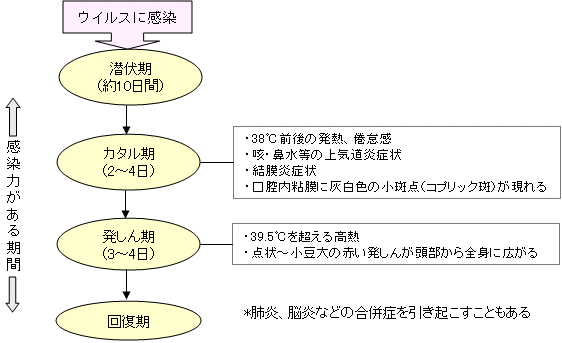 図麻しん（はしか）の経過と症状