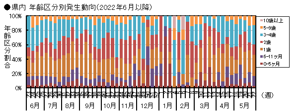 県内年齢区分別発生動向(2022年6月以降)の画像