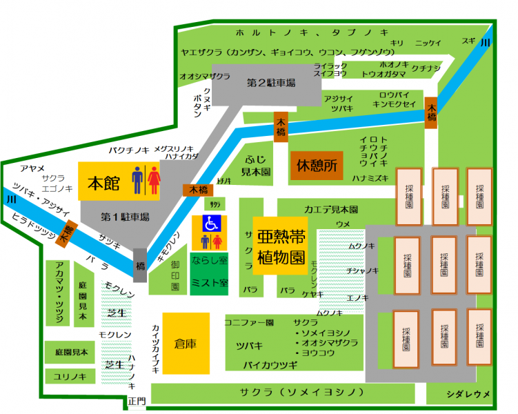 樹木案内図の画像