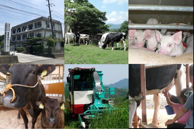 愛媛県農林水産研究所畜産研究センターの画像