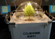植物によるCO2吸収実験装置の展示の画像