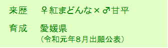 来歴、育成の画像4