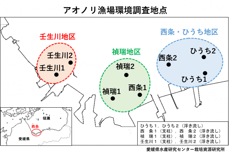 アオノリ漁場