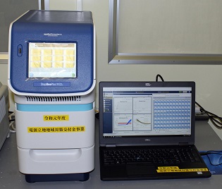 リアルタイムPCR装置の画像