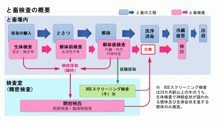 と畜検査の概要図