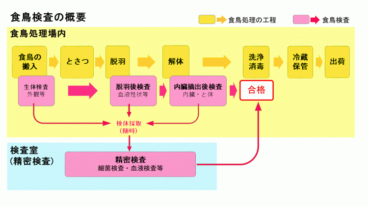 食鳥検査の概要図